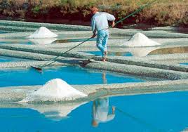 Celtic Sea Salt